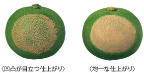 凹凸が目立つ仕上がりと均一な仕上がり